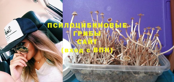 стафф Горняк